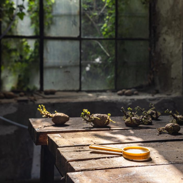 Post World Undercover Fake Rock Manufacturing Facility, site-specific installation by Sebastian Moldovan, Art Encounters Biennial, Timișoara, 2023 — view 9 of 41