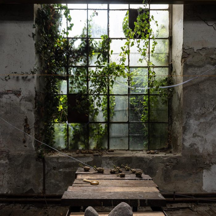 Post World Undercover Fake Rock Manufacturing Facility, site-specific installation by Sebastian Moldovan, Art Encounters Biennial, Timișoara, 2023 — view 11 of 41