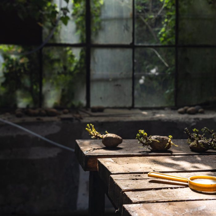 Post World Undercover Fake Rock Manufacturing Facility, site-specific installation by Sebastian Moldovan, Art Encounters Biennial, Timișoara, 2023 — view 41 of 41